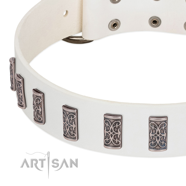 Unique leather collar for your dog stylish walks