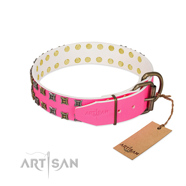 Full grain natural leather collar with fashionable embellishments for your doggie