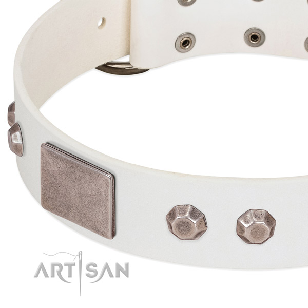 Daily use top rate full grain natural leather dog collar