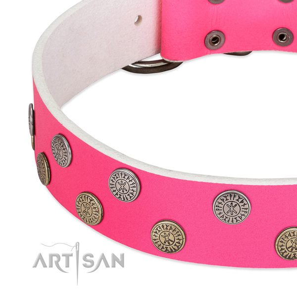 Soft full grain leather dog collar with adornments for stylish walking
