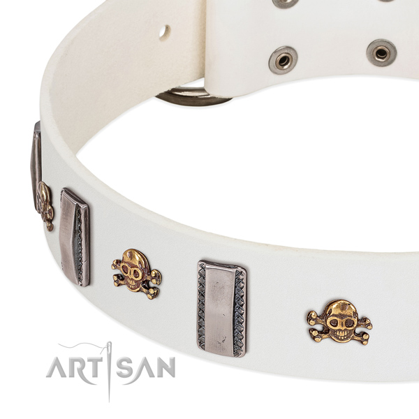 Stunning decorations on genuine leather dog collar for daily use
