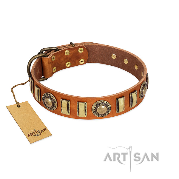 Adorned full grain leather dog collar with reliable traditional buckle