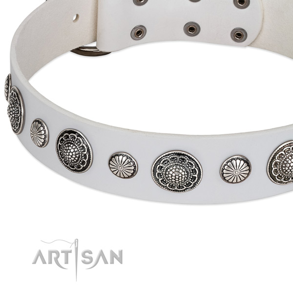 Full grain genuine leather collar with corrosion resistant fittings for your beautiful four-legged friend