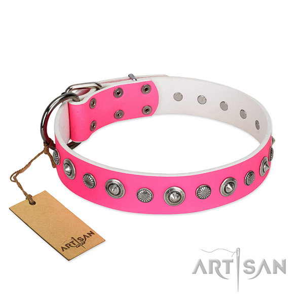 High quality natural leather dog collar with unusual studs