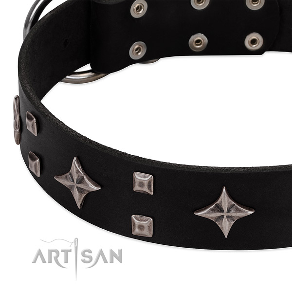 Remarkable full grain natural leather dog collar for everyday use