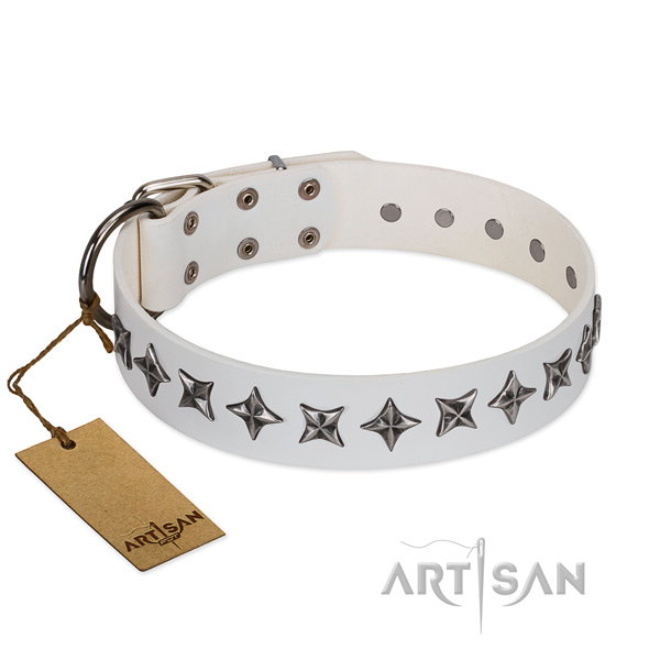 Everyday walking dog collar of best quality leather with decorations