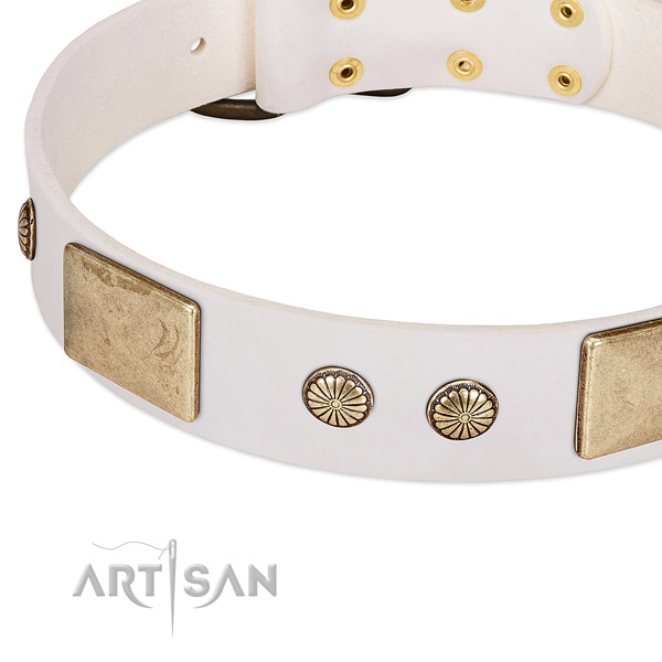 Corrosion resistant fittings on genuine leather dog collar for your canine