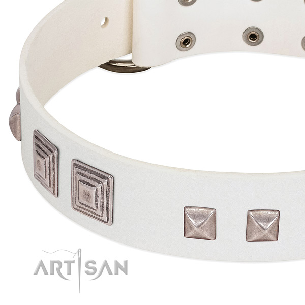 Full grain natural leather dog collar with rust-proof D-ring