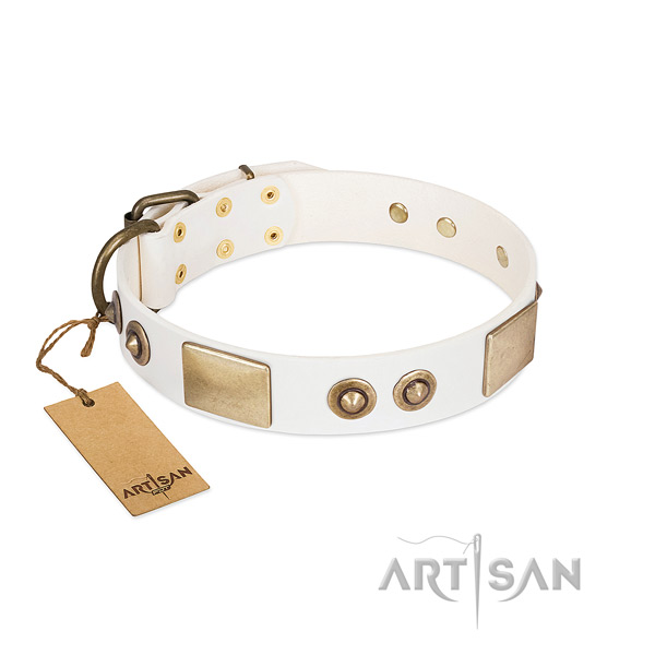 Reliable studs on genuine leather dog collar for your canine