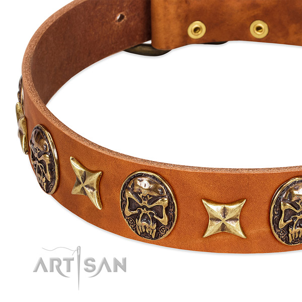 Durable studs on full grain leather dog collar for your four-legged friend