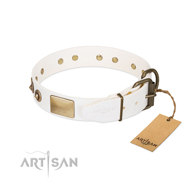 Durable decorations on natural genuine leather dog collar for your doggie
