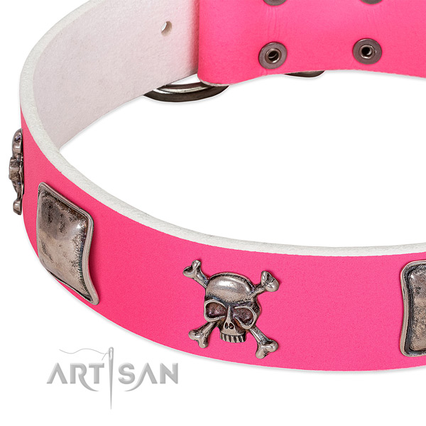 Corrosion proof traditional buckle on full grain leather dog collar for daily use