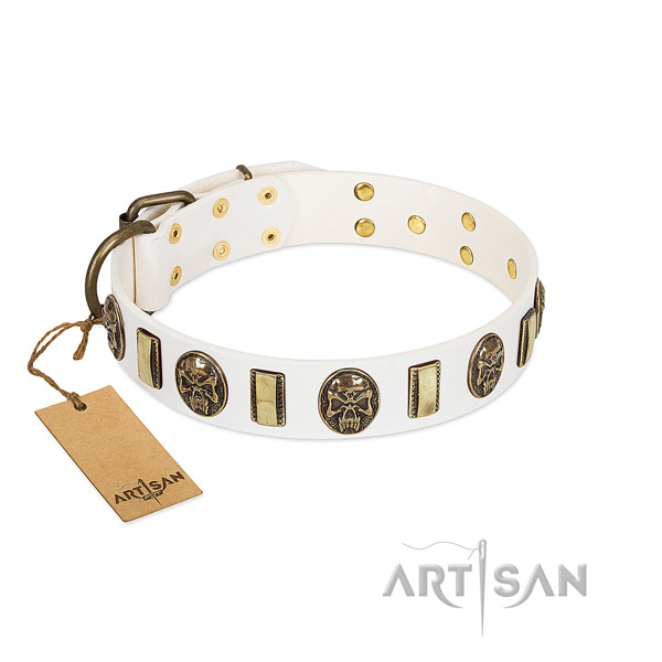 Trendy full grain genuine leather dog collar for basic training