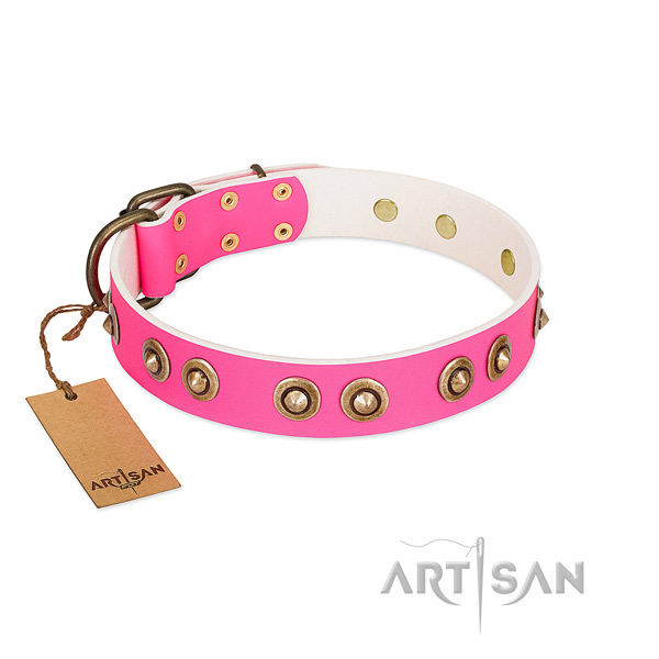 Impressive full grain genuine leather dog collar for walking