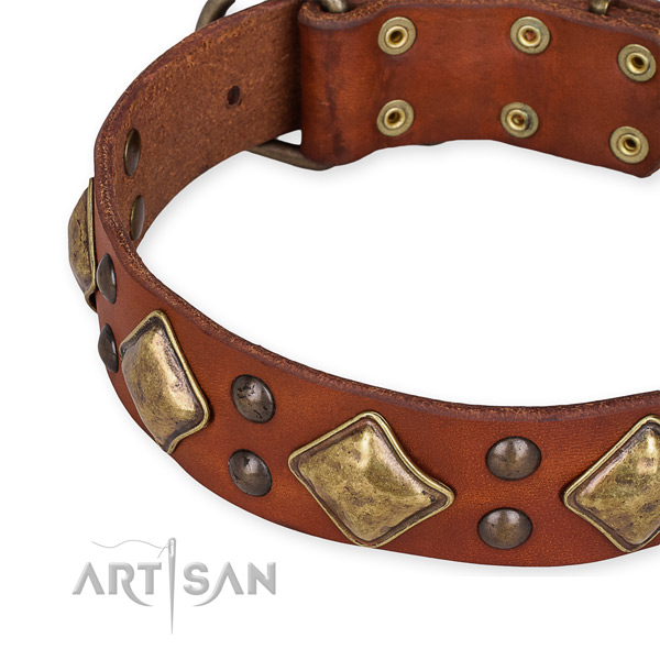 Full grain leather collar with rust resistant buckle for your lovely canine