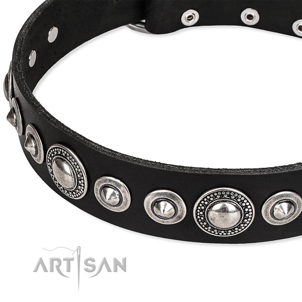 Basic training studded dog collar of quality full grain leather