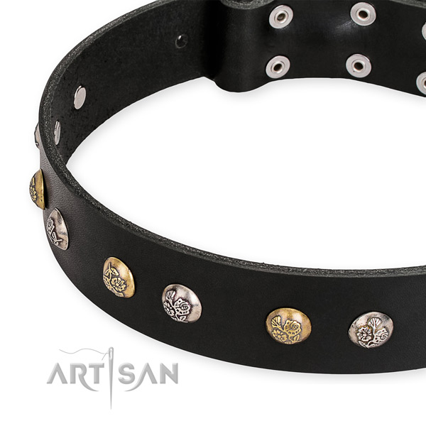Natural genuine leather dog collar with awesome rust resistant decorations
