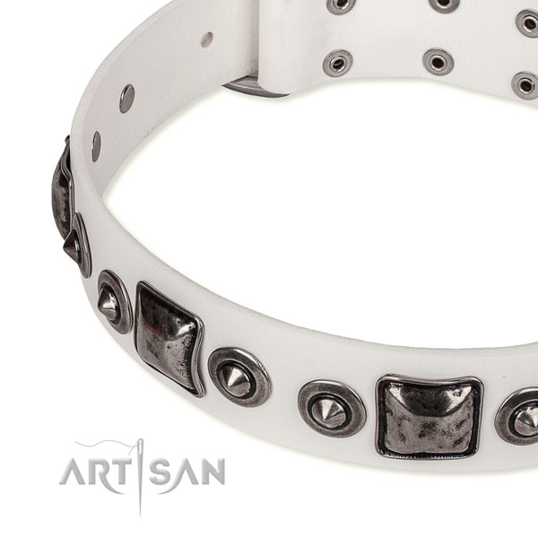 Top rate full grain natural leather dog collar handcrafted for your attractive pet