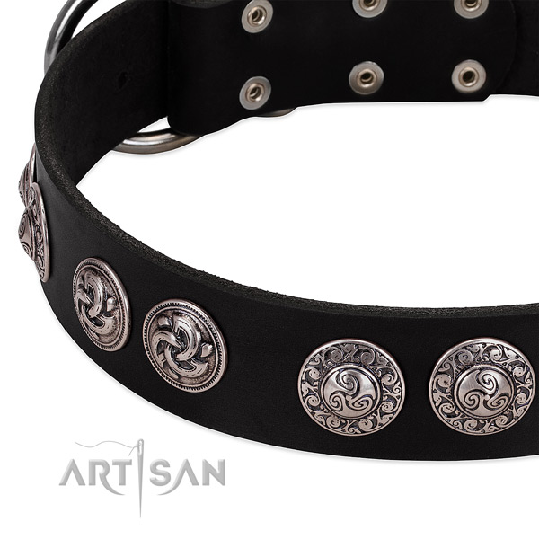 Inimitable full grain leather collar for your dog stylish walks