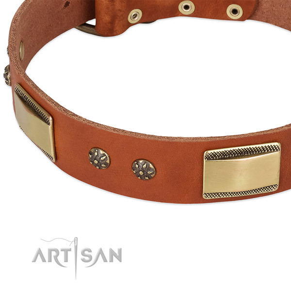 Durable studs on genuine leather dog collar for your dog