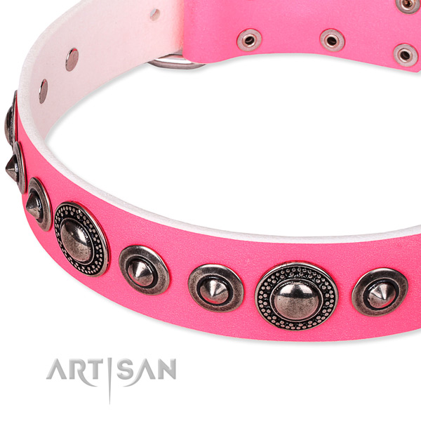 Fancy walking embellished dog collar of finest quality full grain leather