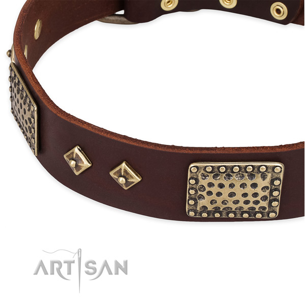 Corrosion resistant hardware on genuine leather dog collar for your doggie
