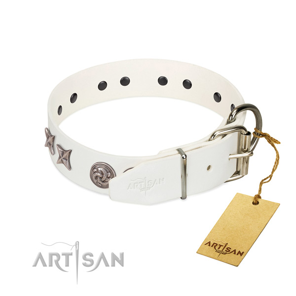 Incredible dog collar handcrafted for your impressive doggie