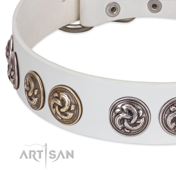 Stylish genuine leather dog collar for comfortable wearing
