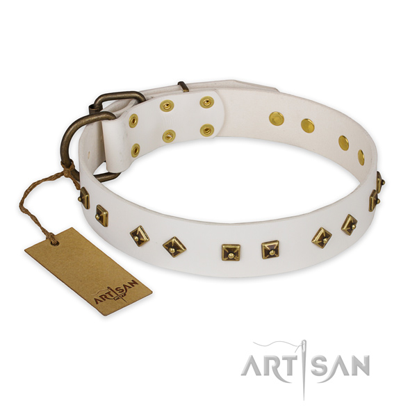 Studded full grain natural leather dog collar with durable hardware