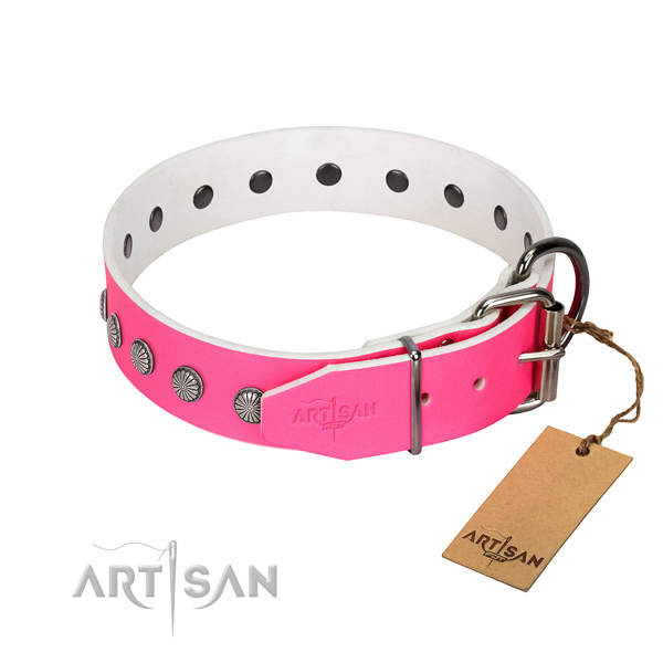 Best quality leather dog collar with embellishments for your handsome pet