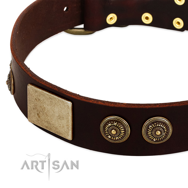 Durable decorations on full grain natural leather dog collar for your four-legged friend