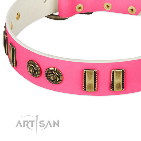 Corrosion resistant fittings on leather dog collar for your pet