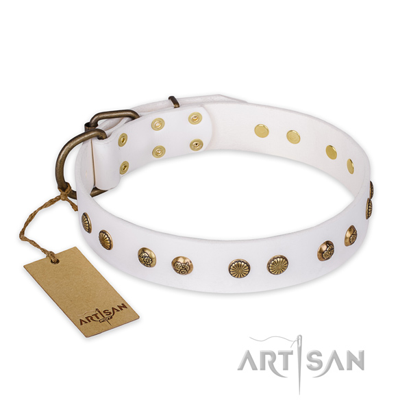 Embellished leather dog collar with corrosion proof D-ring