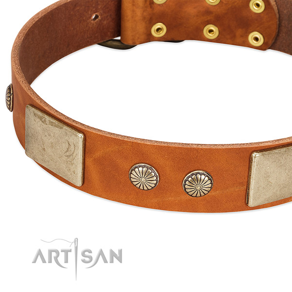 Durable traditional buckle on full grain leather dog collar for your dog