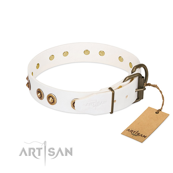 Corrosion proof hardware on leather dog collar for your canine