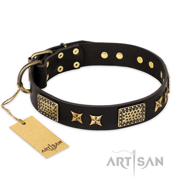 Amazing full grain natural leather dog collar with corrosion resistant D-ring