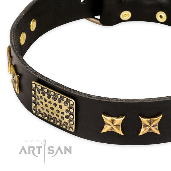 Full grain natural leather collar with rust-proof traditional buckle for your attractive doggie
