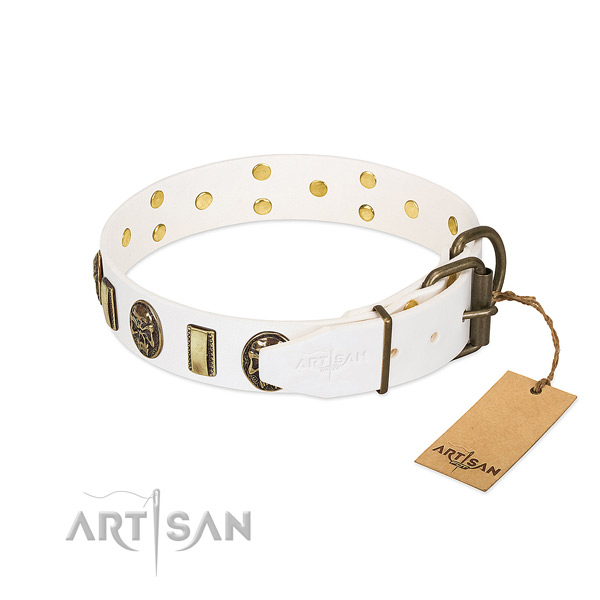 Corrosion resistant D-ring on genuine leather collar for fancy walking your pet
