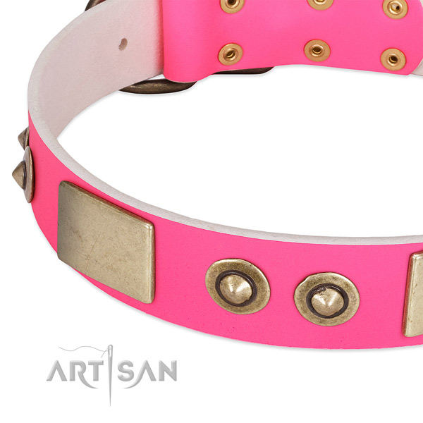 Corrosion proof fittings on full grain leather dog collar for your four-legged friend