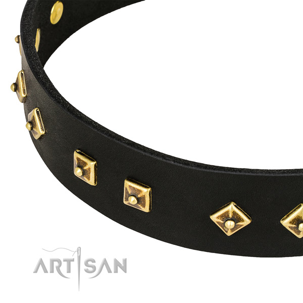 Top quality leather collar for your beautiful pet