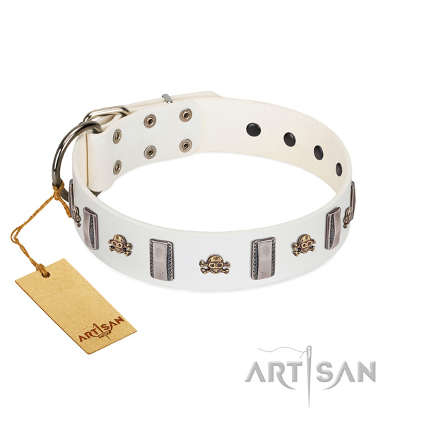 Natural leather dog collar with stylish adornments for your four-legged friend