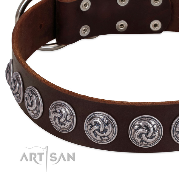 Unusual full grain leather collar for your pet everyday walking