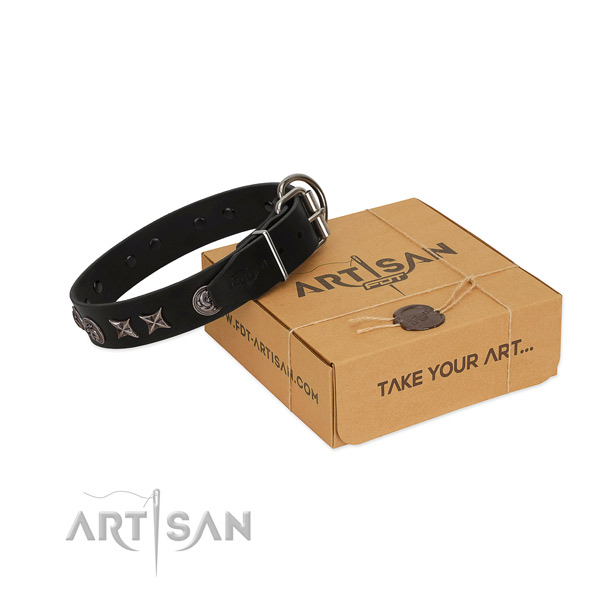 Everyday use dog collar of genuine leather with stylish embellishments