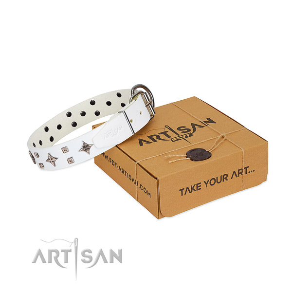 Stunning leather collar for your pet walking