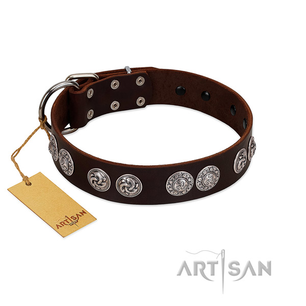 Unique leather collar for your doggie walking in style