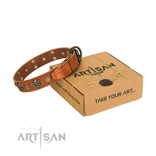 Corrosion resistant traditional buckle on full grain leather dog collar for walking
