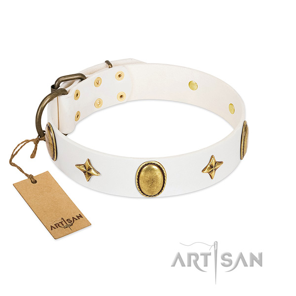 High quality genuine leather collar with top notch embellishments for your dog