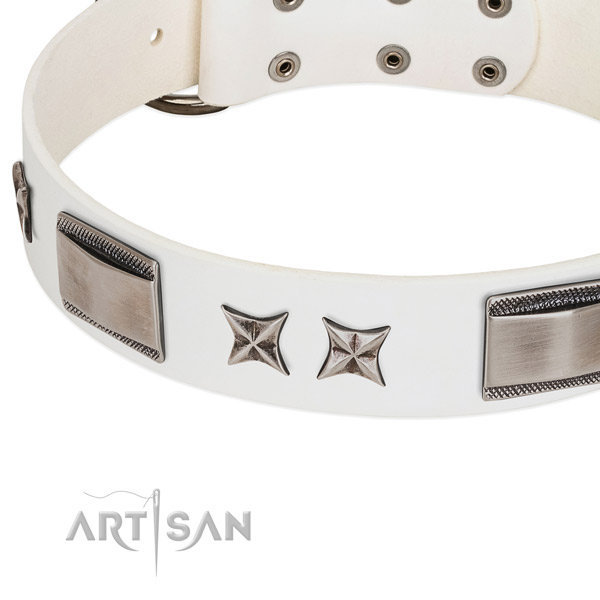 Gentle to touch natural leather dog collar with reliable hardware