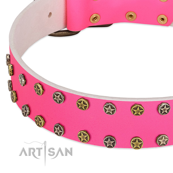 Best quality full grain genuine leather collar with adornments for your dog