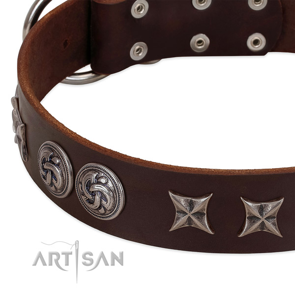 Full grain genuine leather collar with exceptional studs for your doggie